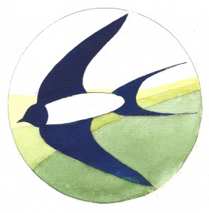 swallow_for_web