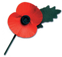 poppy