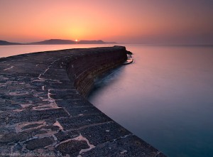 the cobb