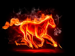 Fiery stallion